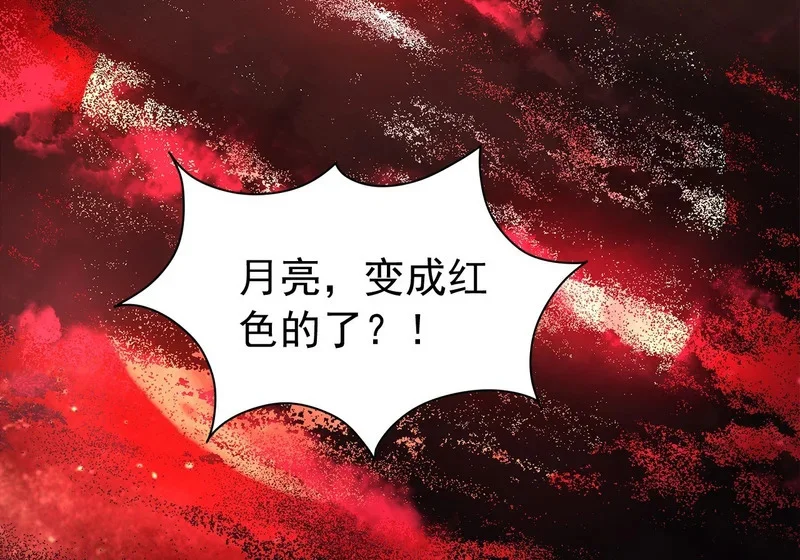 第255页