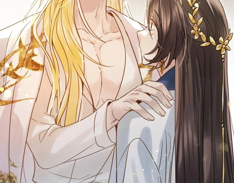 第255页
