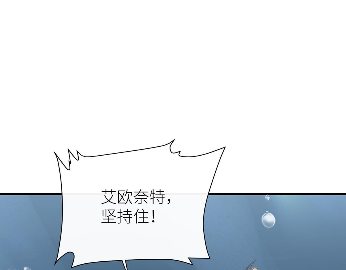 第288页