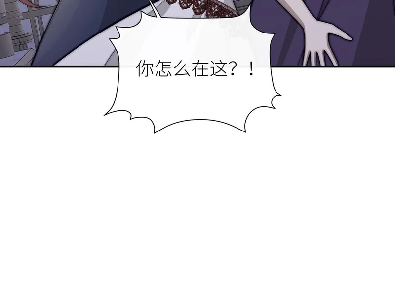 第231页