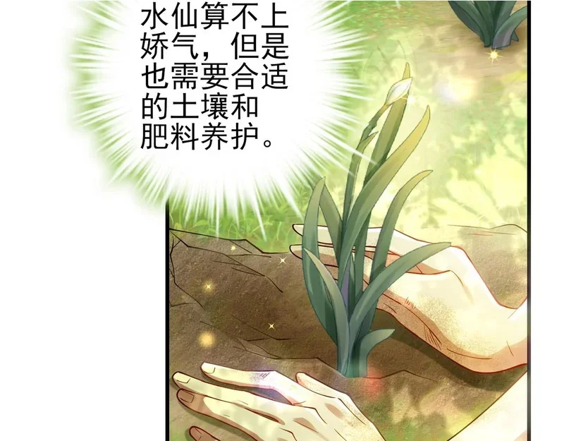 第246页