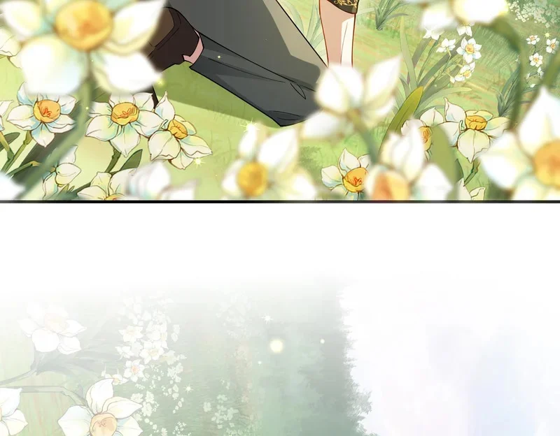 第255页