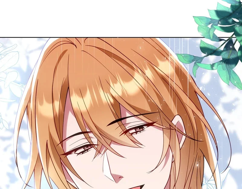 第282页