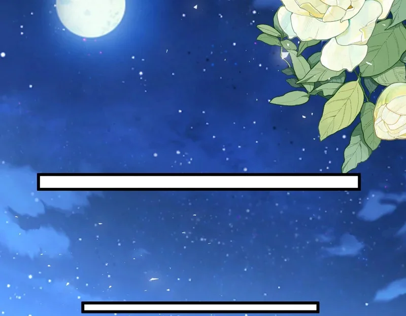 第255页