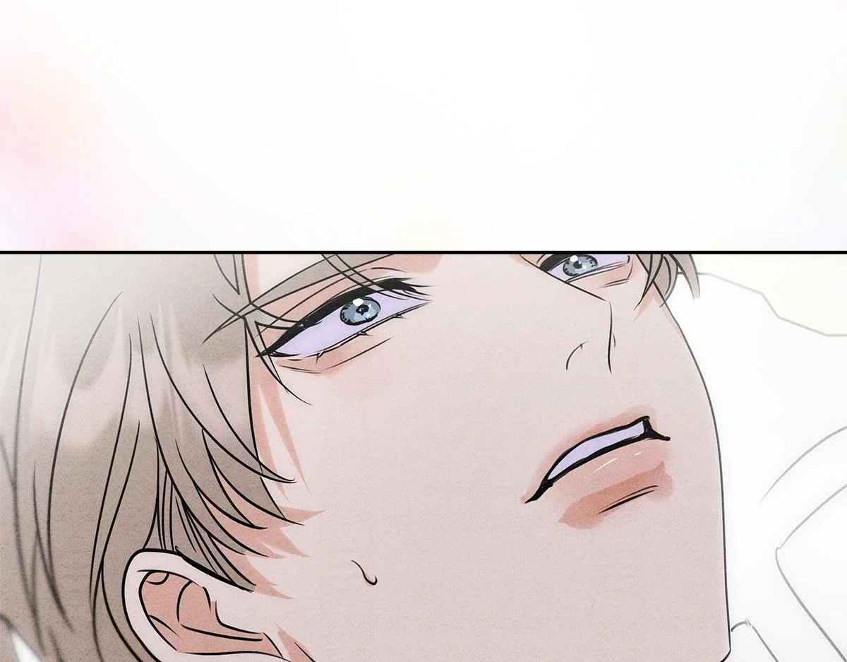 第255页