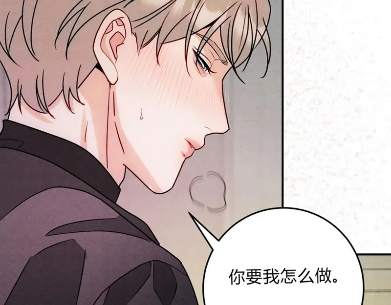 第228页