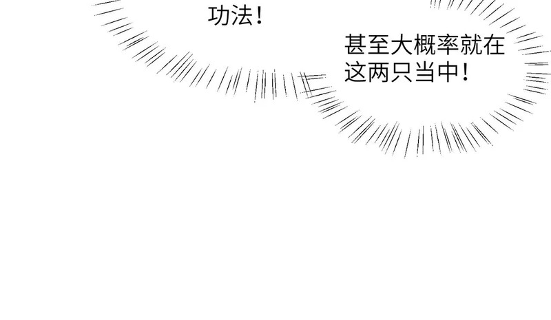 第243页