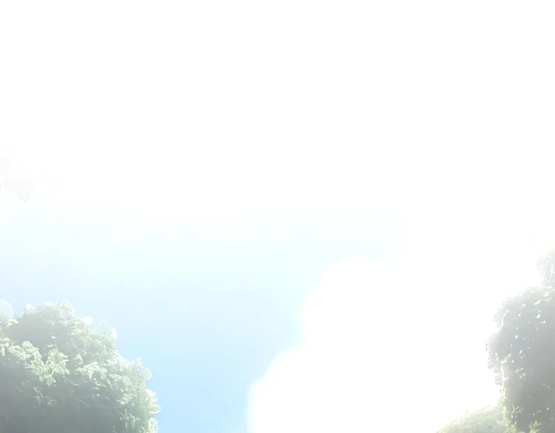 第357页