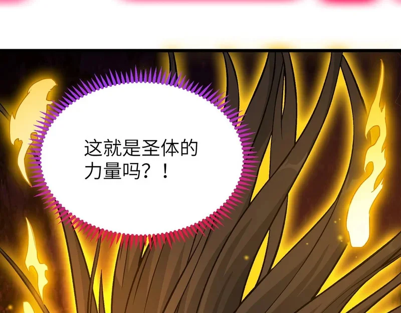 第384页