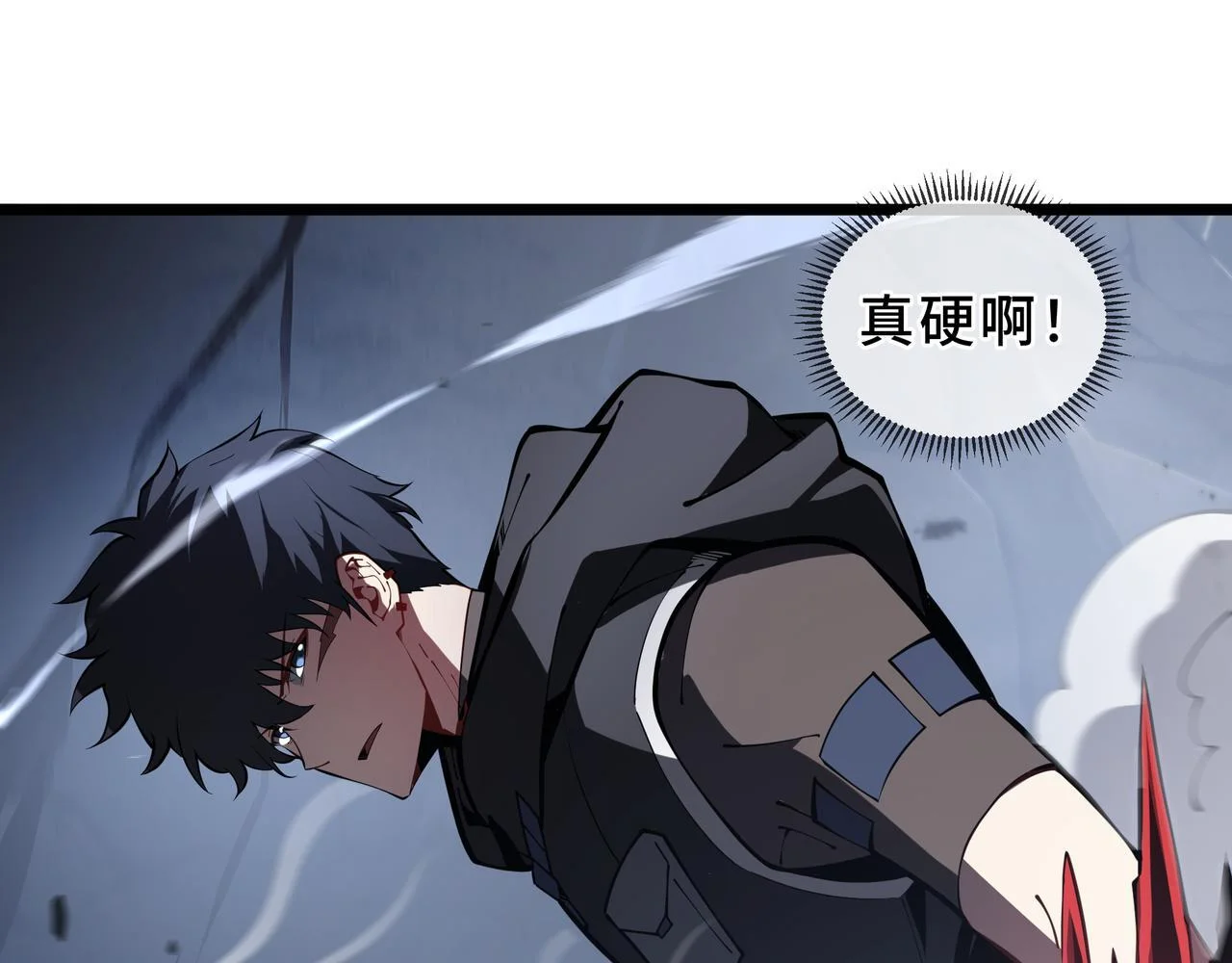 第231页