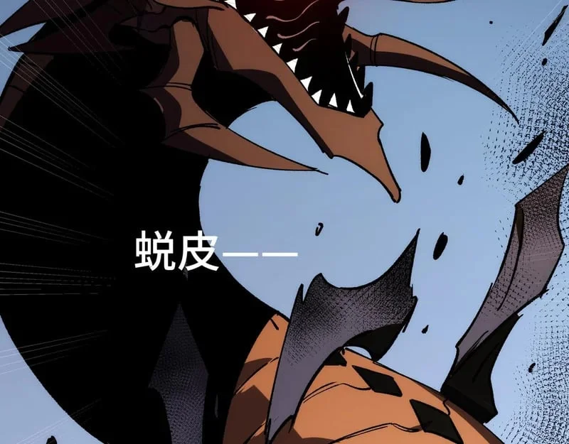第207页