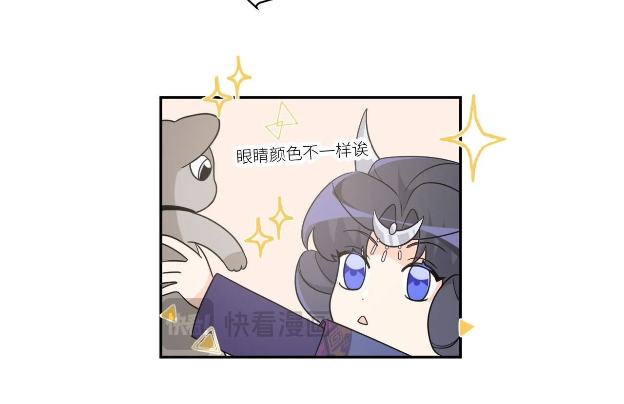 第246页