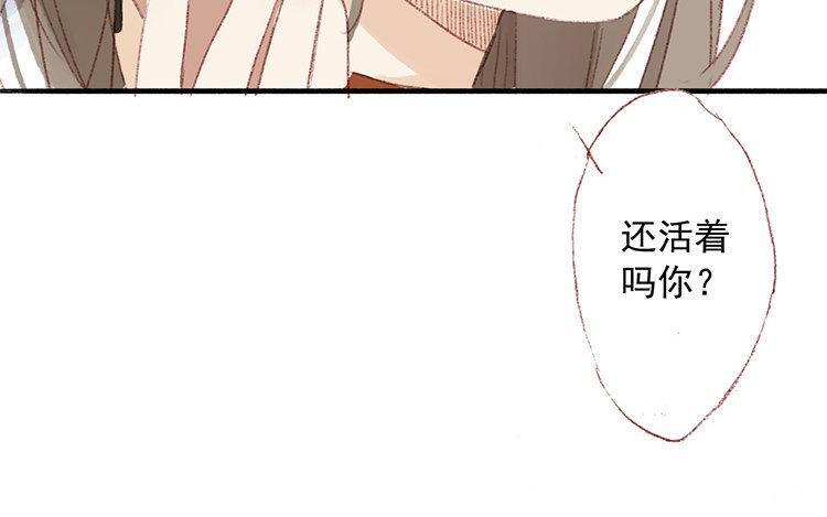 第204页