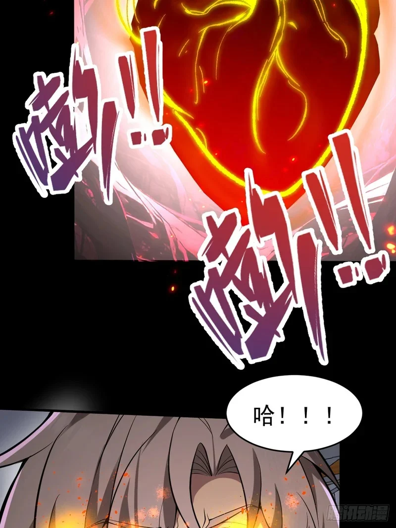第204页