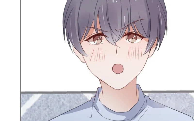 第336页