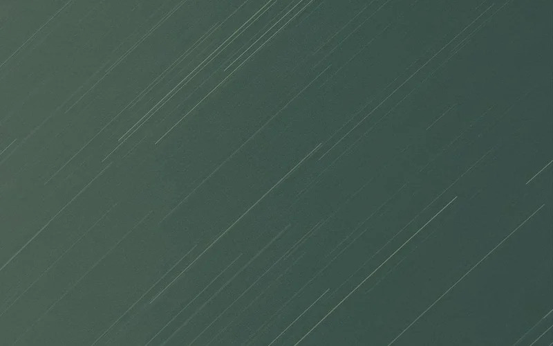 第282页