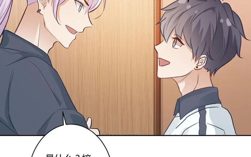 第231页