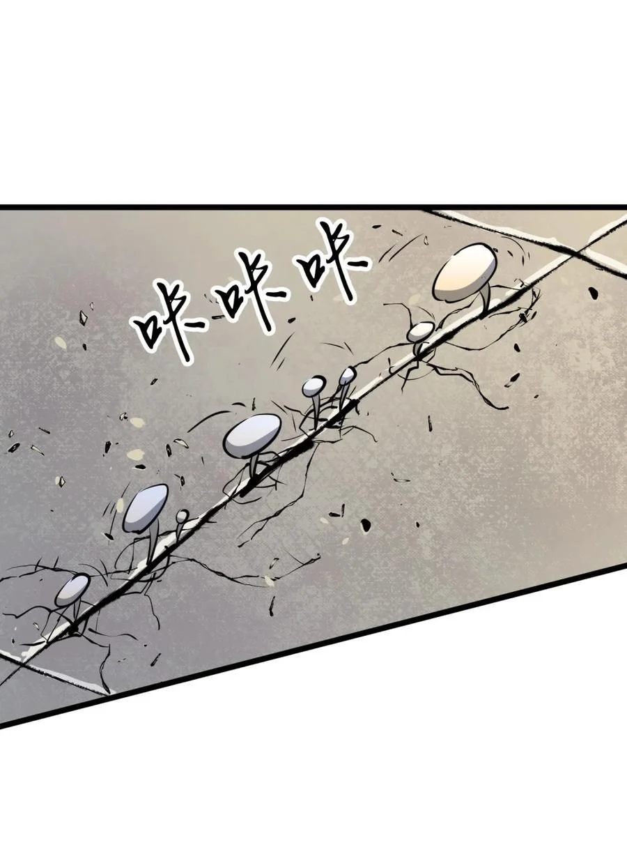 第255页