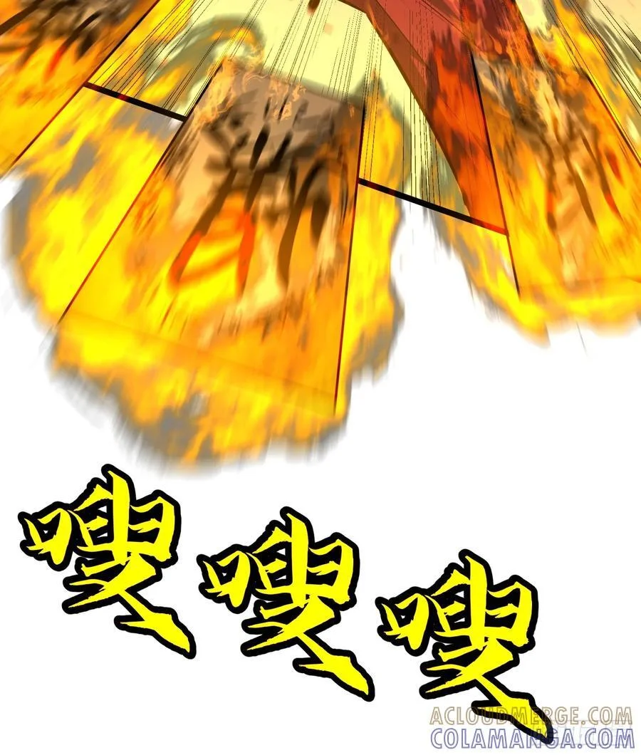 第204页