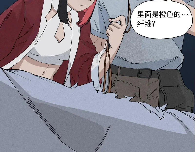 第237页