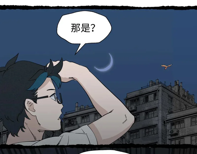 第303页