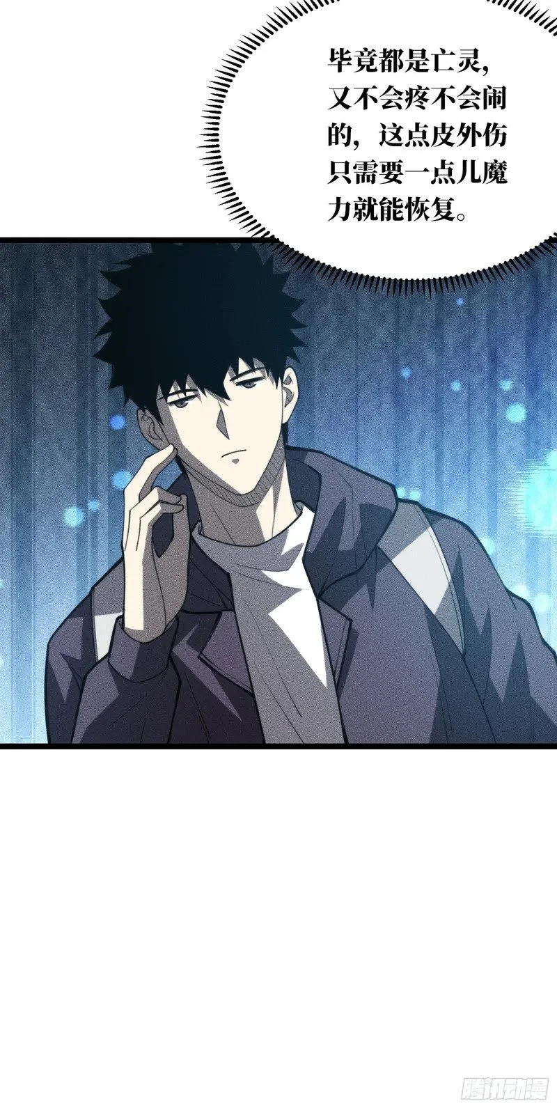 第219页