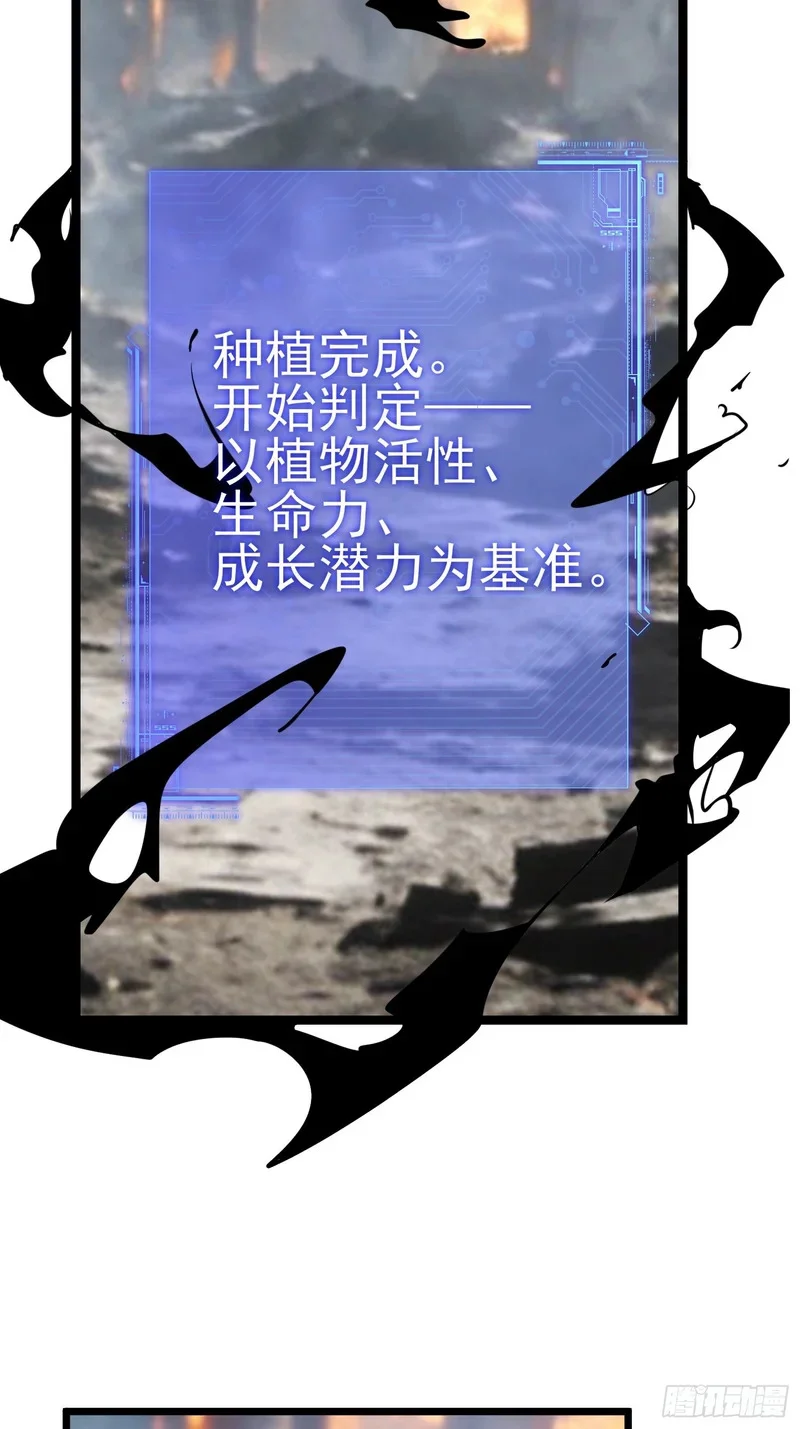 第255页