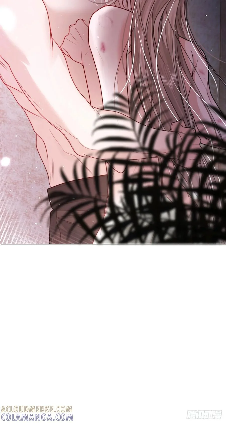 第216页