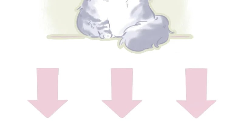第279页