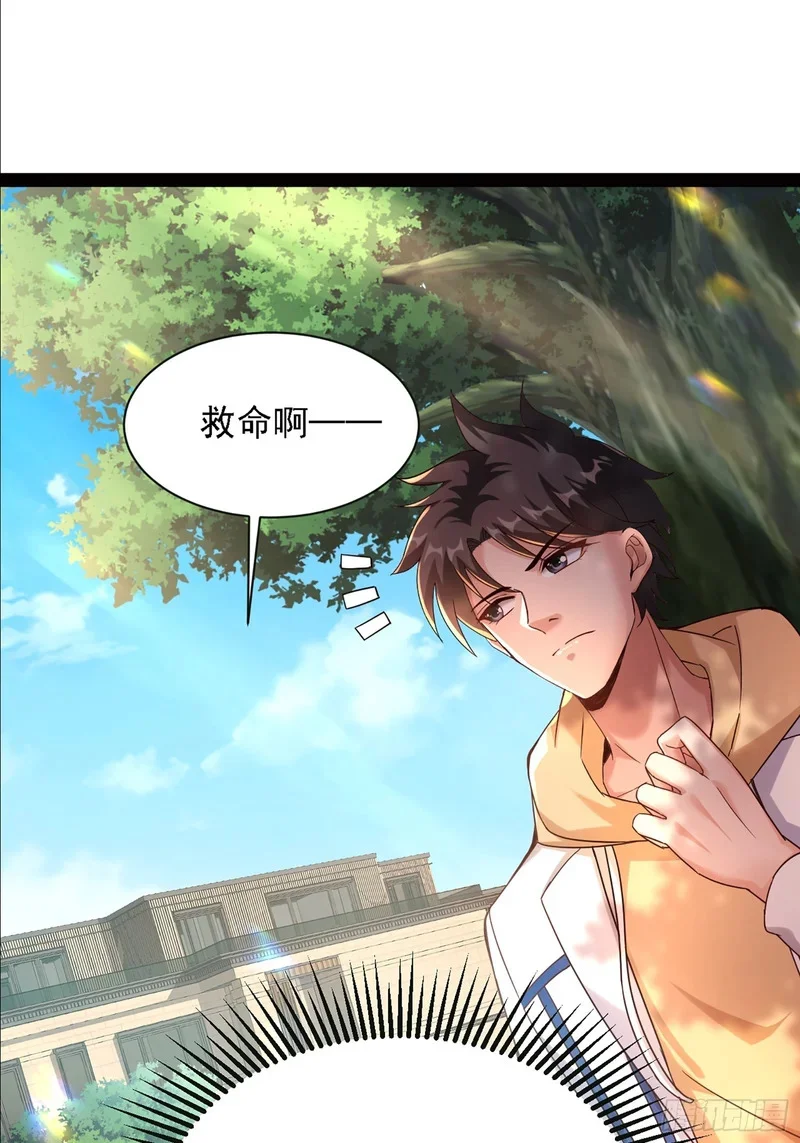第186页
