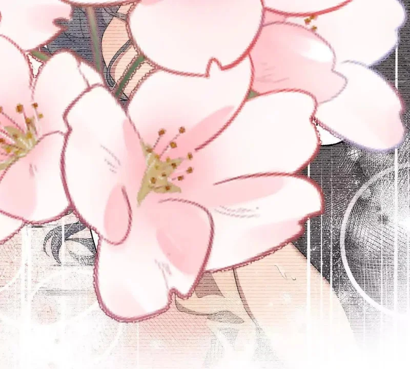 第207页