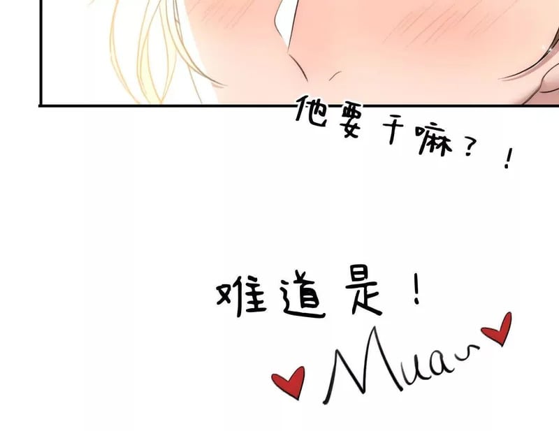 第291页