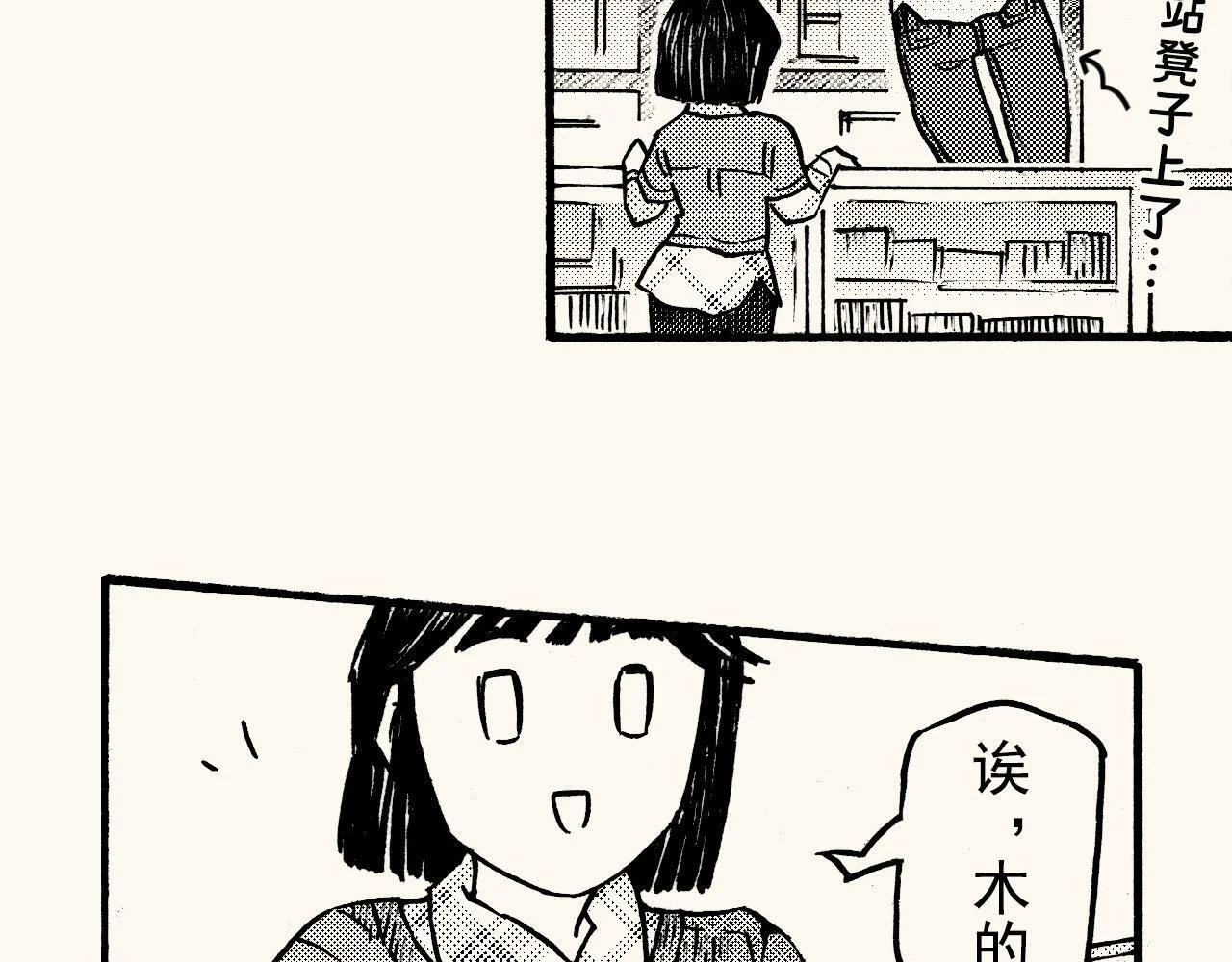 第255页