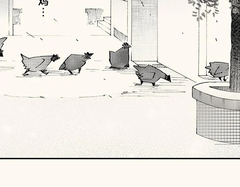 第243页