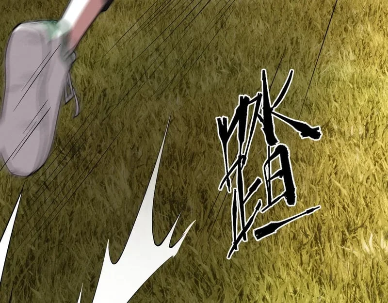 第231页