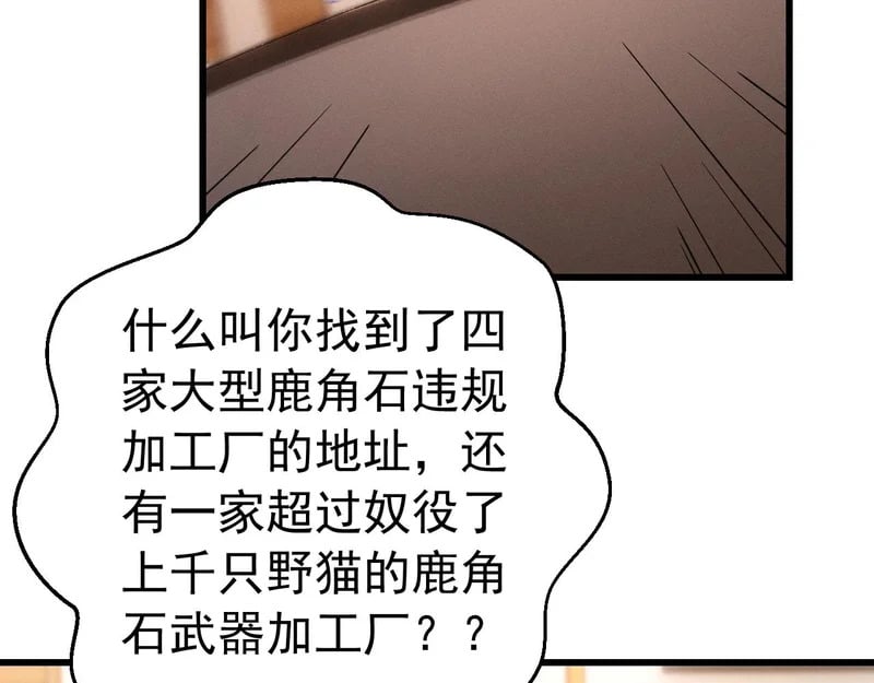 第333页