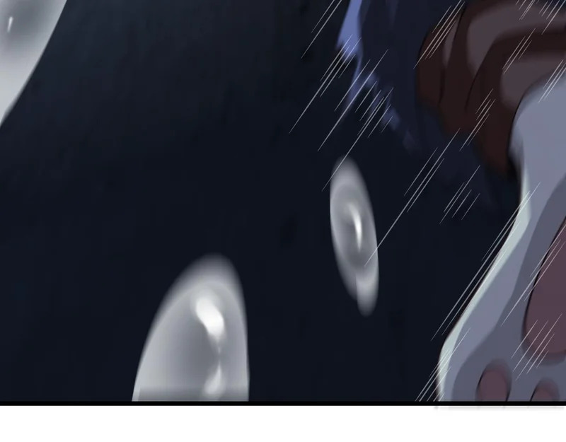 第231页