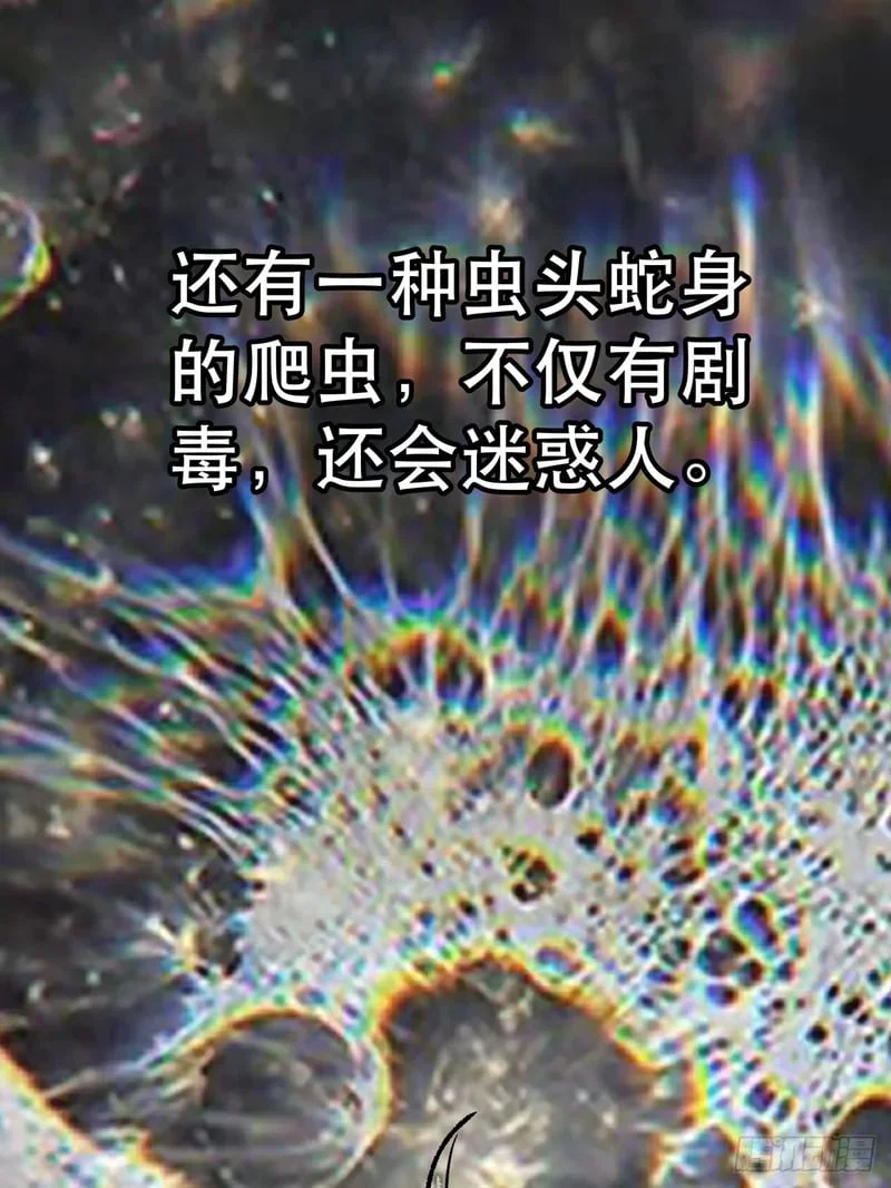 第363页