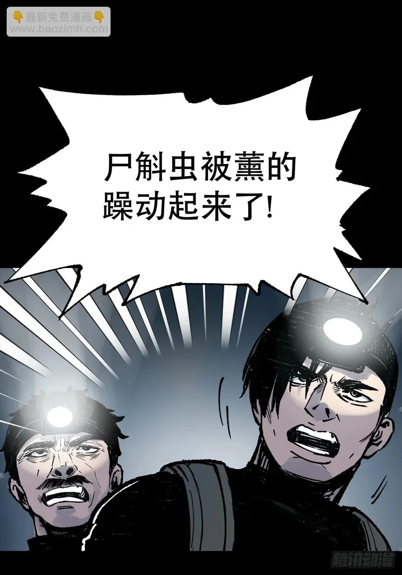 第333页