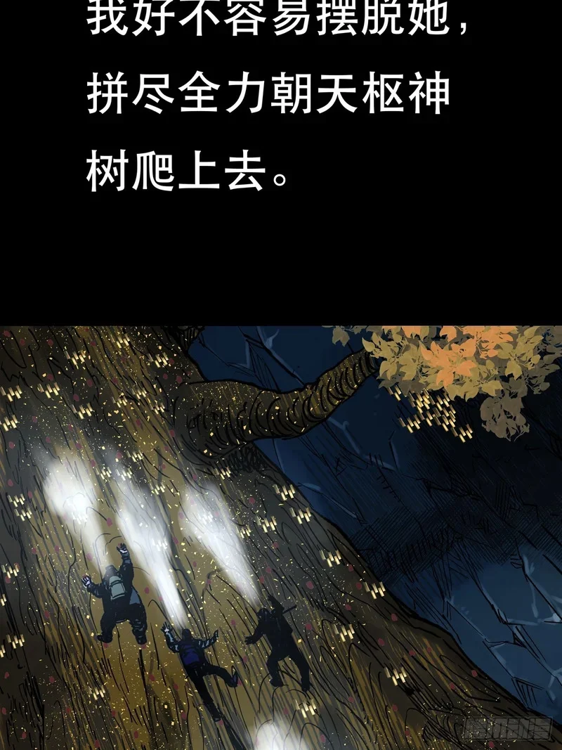 第333页