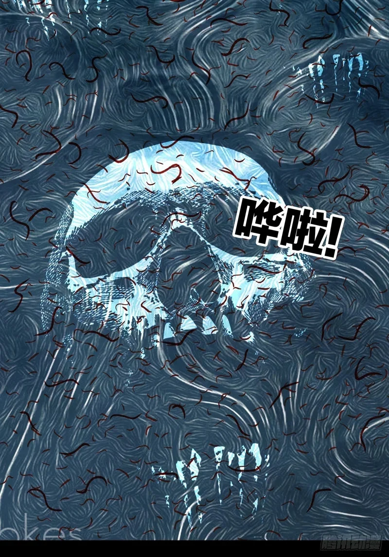 第219页