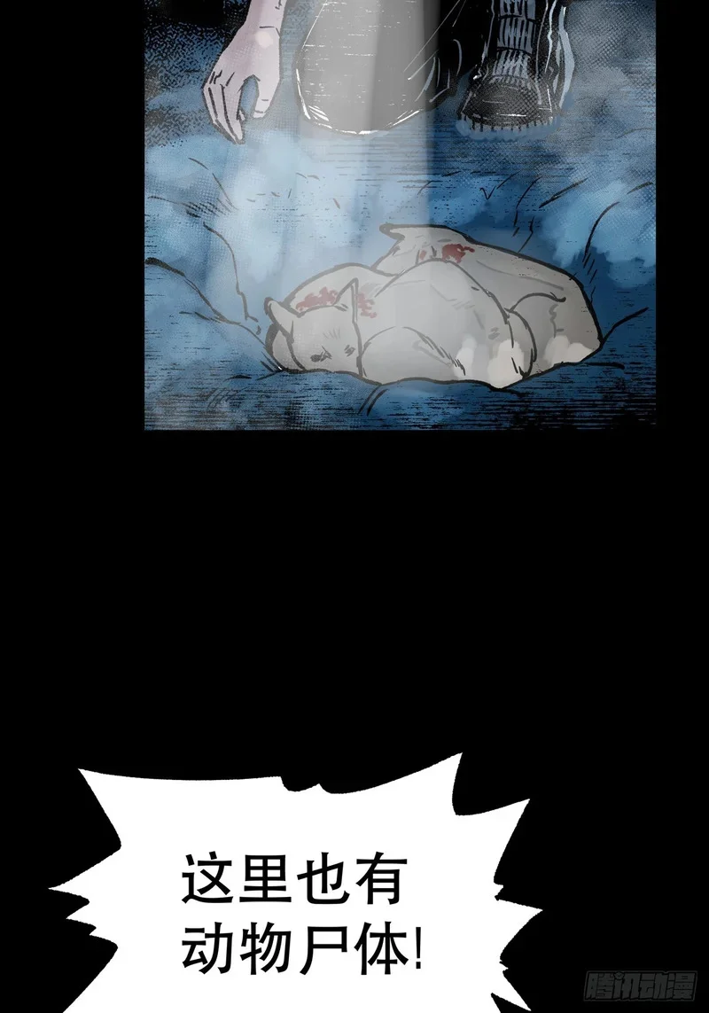 第231页