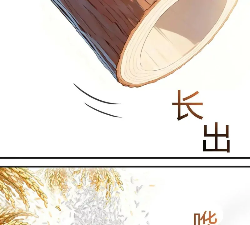 第351页