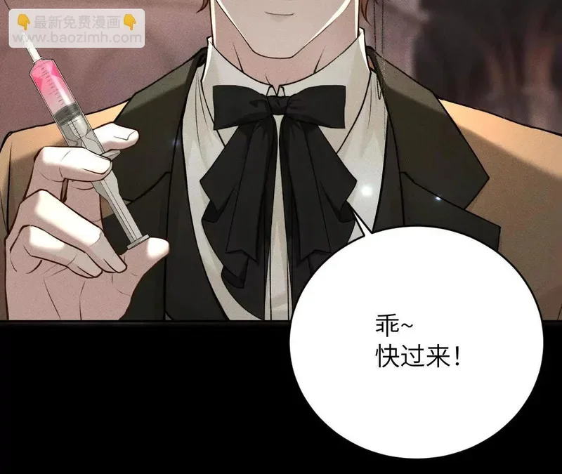 第207页