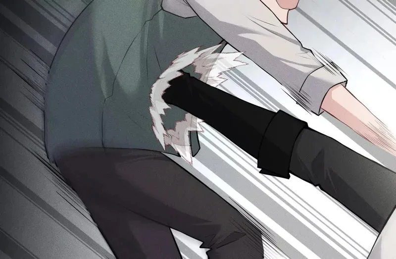 第255页
