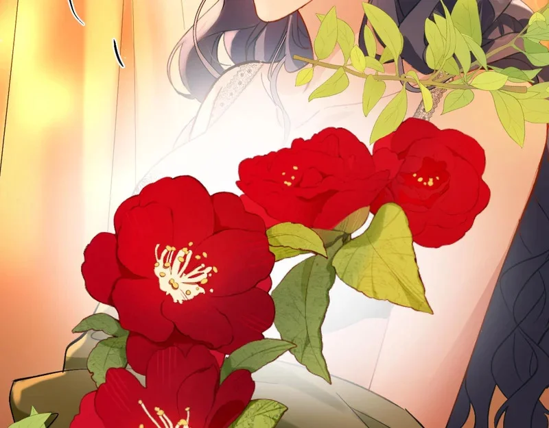 第258页