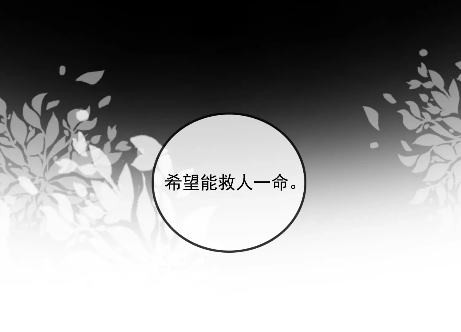 第258页