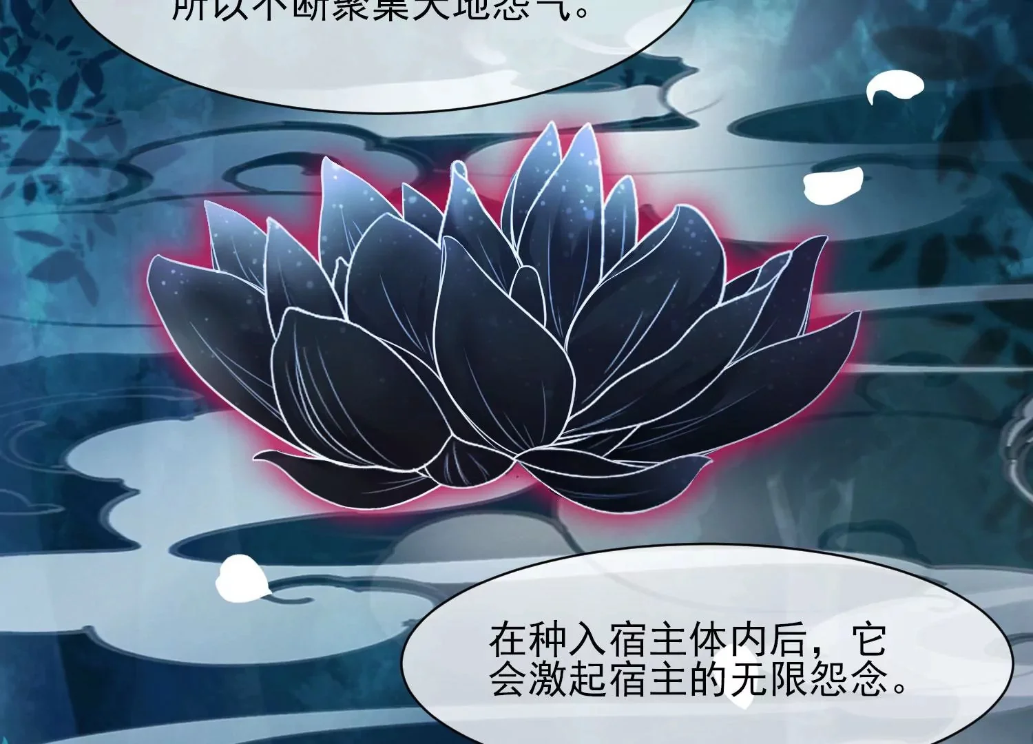 第207页