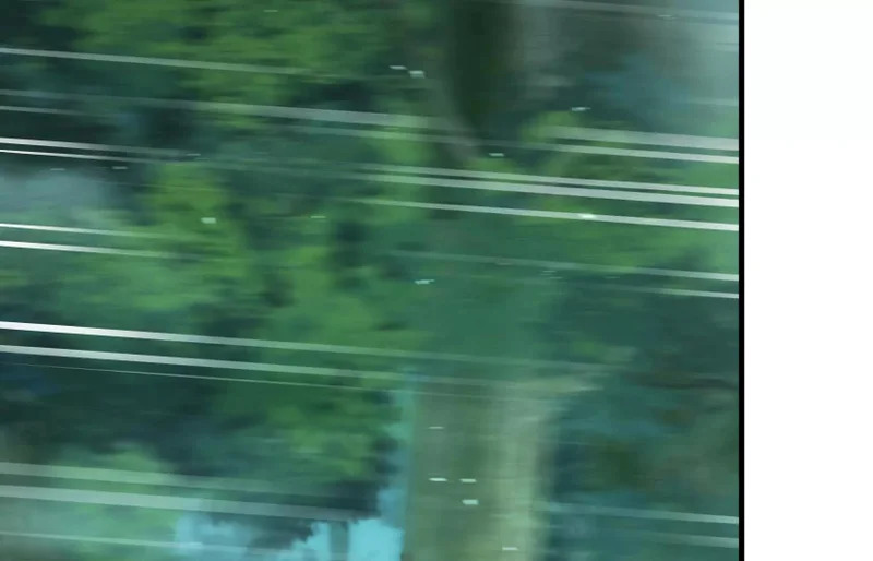 第213页
