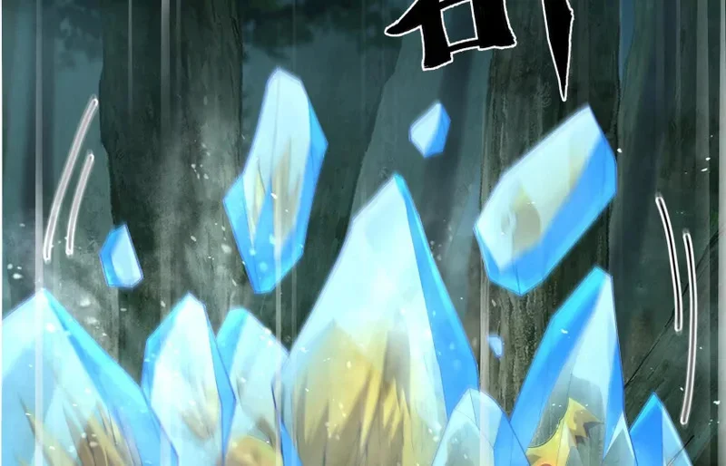 第504页